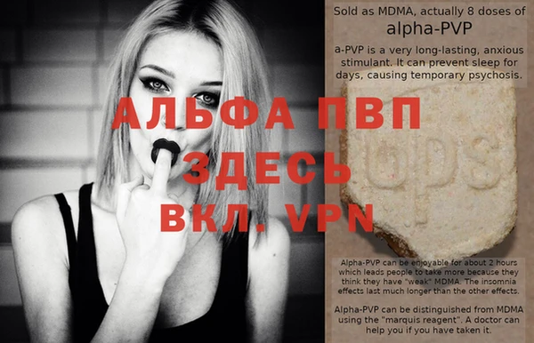 прущие крисы Ельня