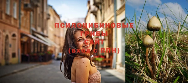 прущий лед Арсеньев